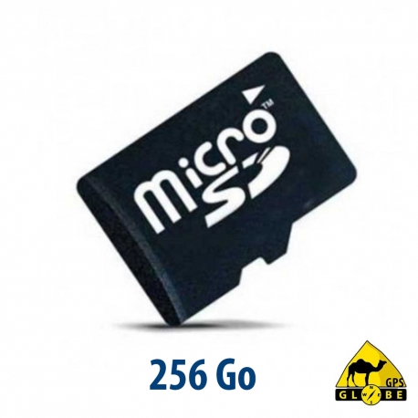 Micro SD-Karte - 256 GB